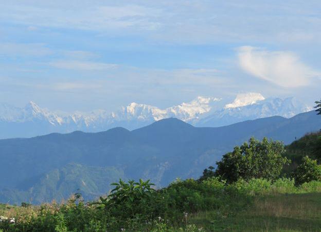 Bhattarai et al. Fig. 3. Habitat of Liopeltis rappi at Dhodeni, Kabilas, Chitwan. Photo Santosh Bhattarai. into towns.