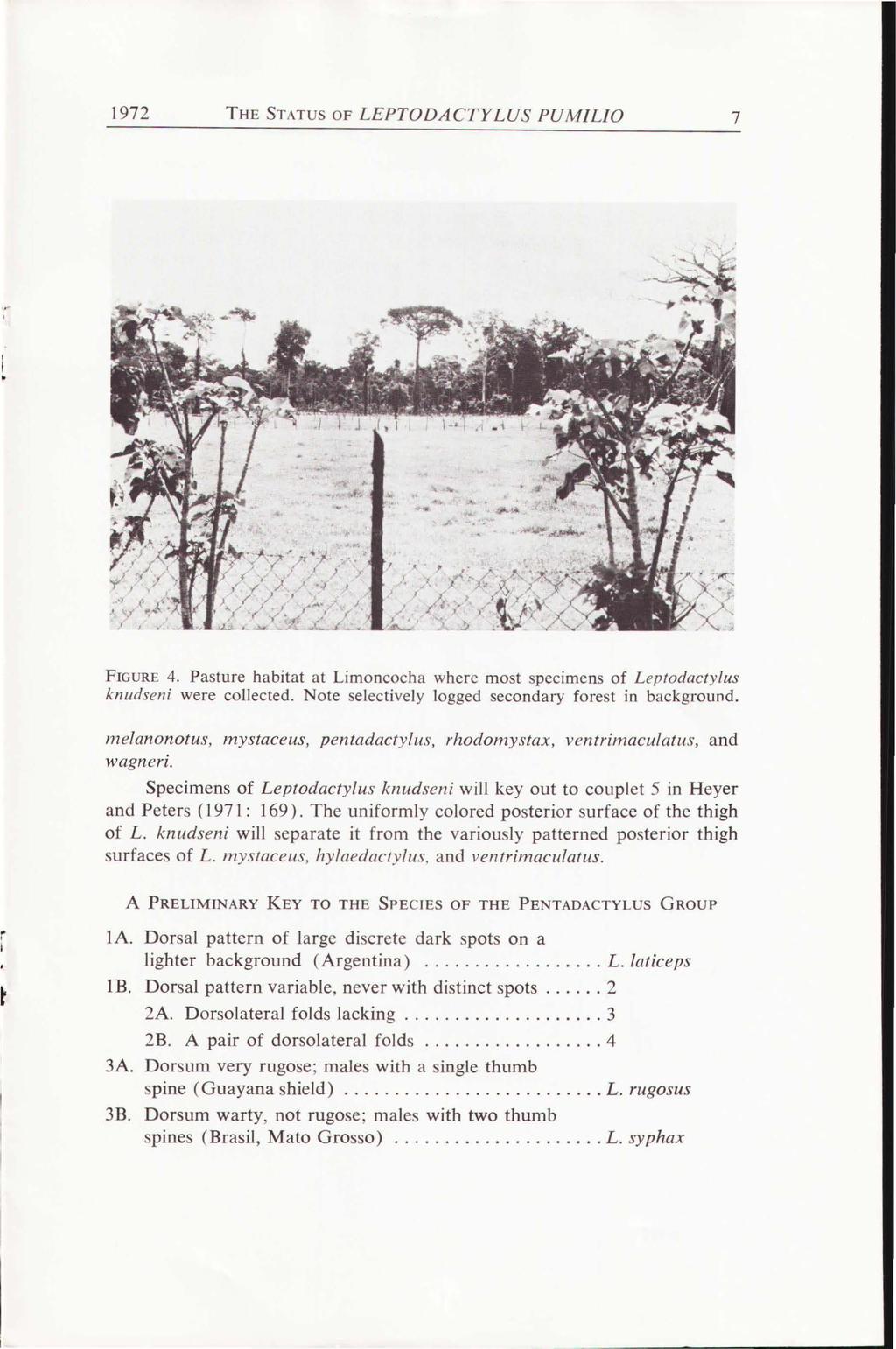 1972 THE STATUS OF LEPTODACTYLUS PUM/L/0 7 FIGURE 4. Pasture habitat at Limoncocha where most specimens of Leptodacty/us knudseni were collected.
