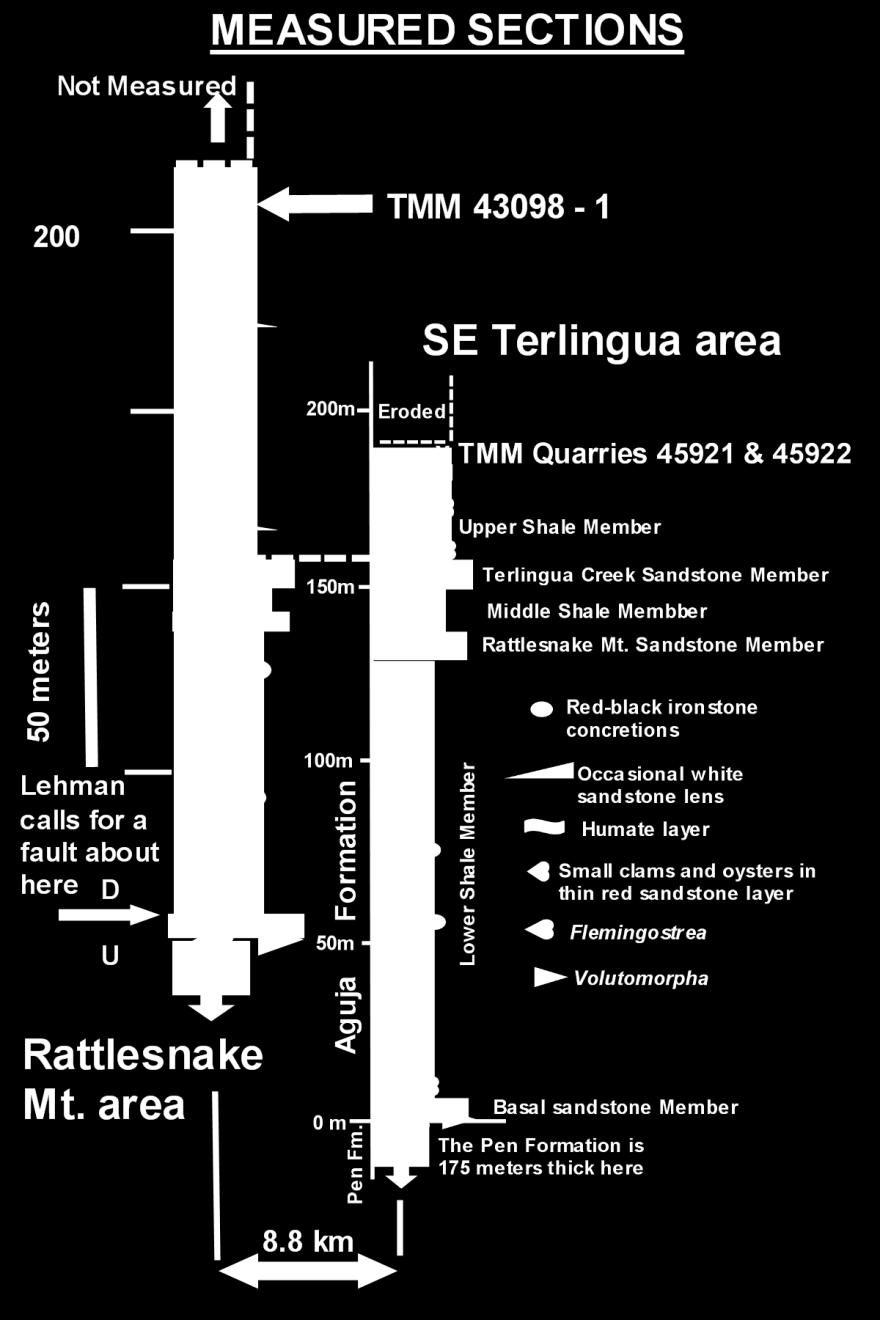 locality TMM 43098 1, Rattlesnake Mt. area.
