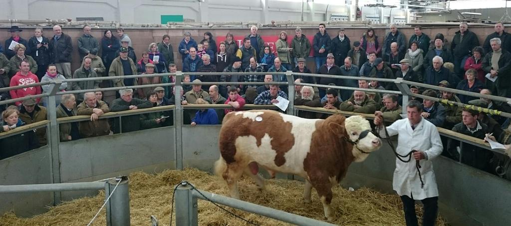 EXETER LIVESTOCK CENTRE MARKET REPORT March 2017 Monday 27 th Prime Stock Market EXETER LIVESTOCK