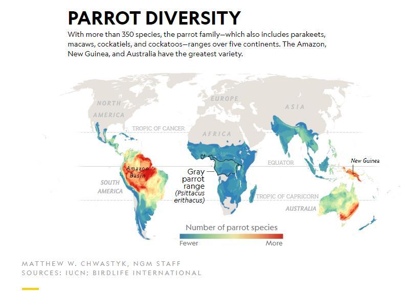 The map shows heaviest concentrations of parrots in
