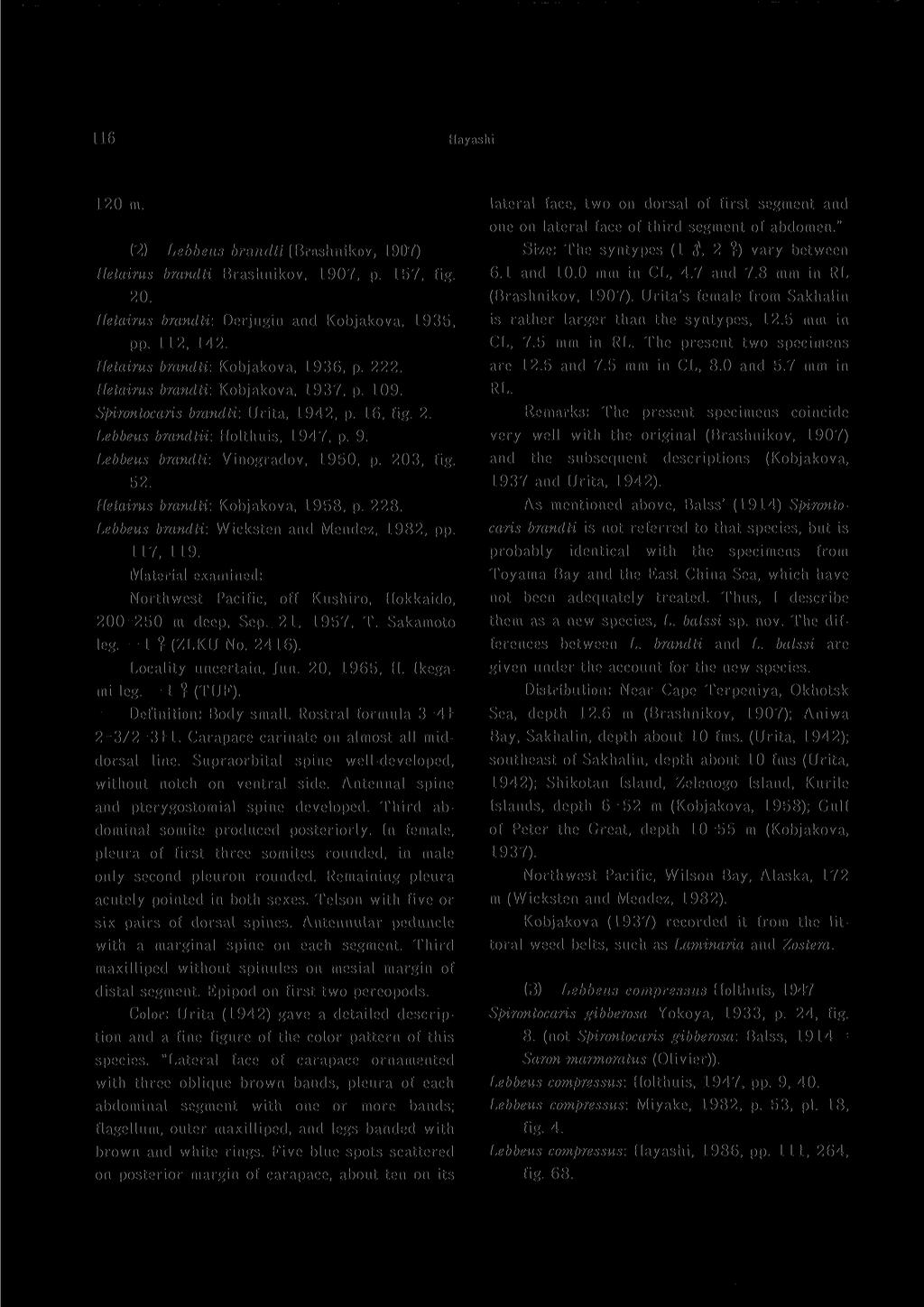 116 Hayashi 120 m. (2) Lebbeus brandti (Brashnikov, 1907) Hetairus brandti Brashnikov, 1907, p. 157, fig. 20. Hetairus brandti: Derjugin and Kobjakova, 1935, pp. 112, 142.