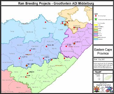 ESTABLISHMENT OF RAM BREEDING FLOCKS FOR DIFFERENT COMMUNAL FARMING AREAS OF THE EASTERN CAPE B.R. King AIM AND OBJECTIVES The aim of this project is to establish ram breeding flocks for different communal farming areas.
