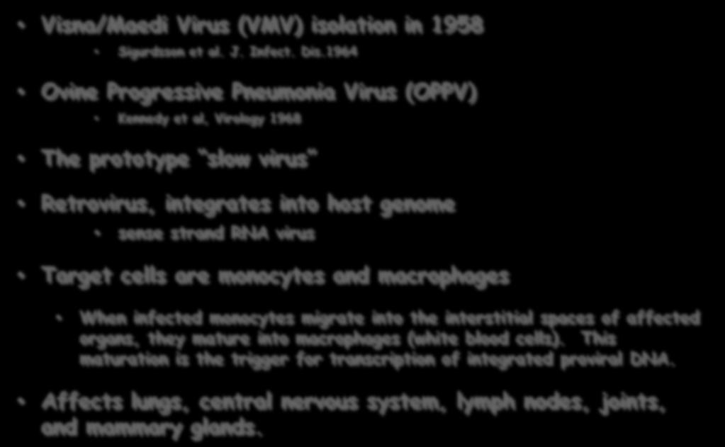 Ovine lentivirus Visna/Maedi Virus (VMV) isolation in 1958