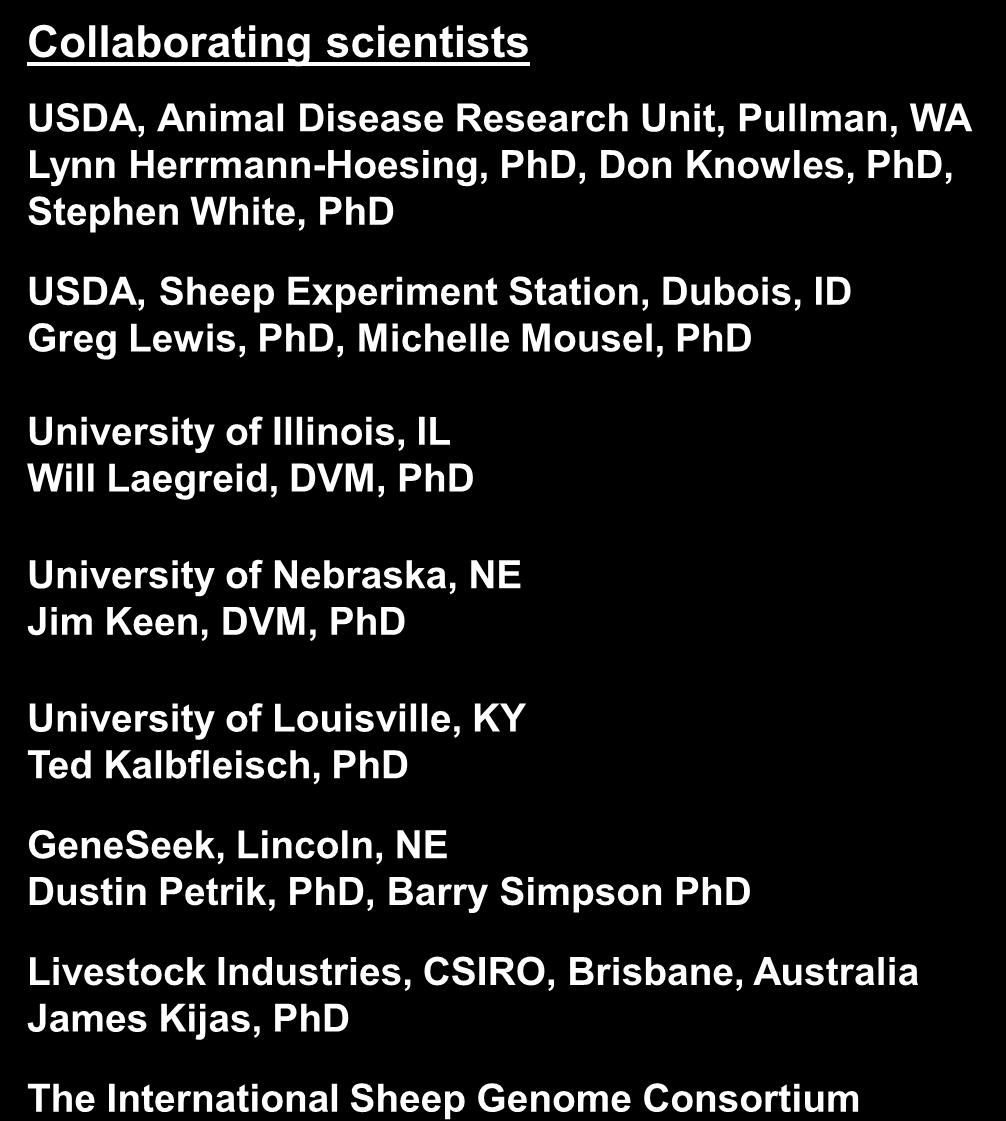 Collaborating scientists USDA, Animal Disease Research Unit, Pullman, WA Lynn Herrmann-Hoesing, PhD, Don Knowles, PhD, Stephen