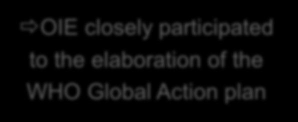 WHO Global Action plan
