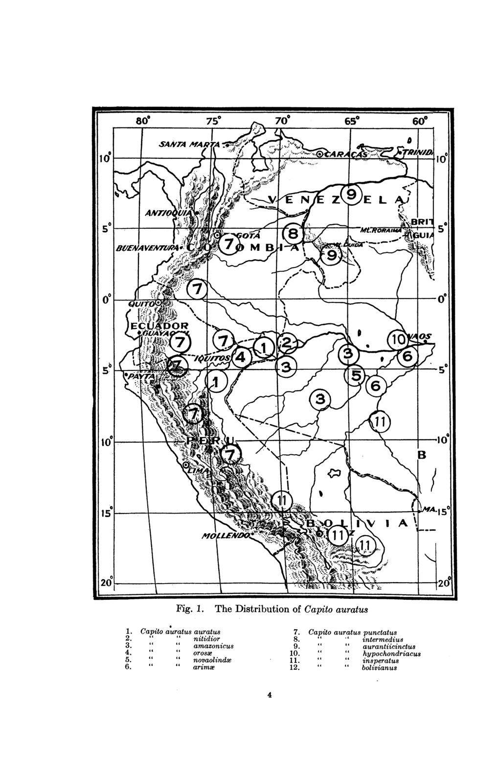 Fig. 1. The Distribution of Capito auratus 1. Capito auratus auratus 7. Capito auratus punctatus 2. 11 1. nitidior 8. " intermedius 3.