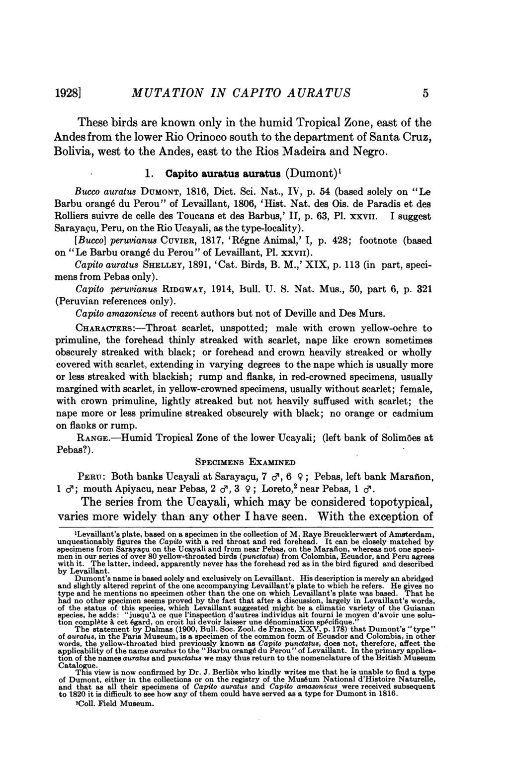 1928] MUTATION IN CAPITO AURATUS 5 These birds are known only in the humid Tropical Zone, east of the Andes from the lower Rio Orinoco south to the department of Santa Cruz, Bolivia, west to the