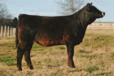 Including the Woodard s In Dew Time heifer purchased at last year s sale, who went on to be GA Junior Beef Futurity Champion.
