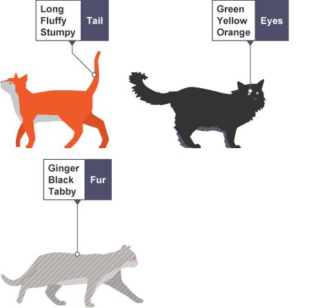 Once we know how to describe one cat we can describe others, simply by following this pattern.