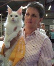 Since that first show I have been actively involved with the Cat Fancy as a breeder (chiefly Orientals and Siamese but also briefly Devon Rex), exhibitor and worker being regularly involved in the