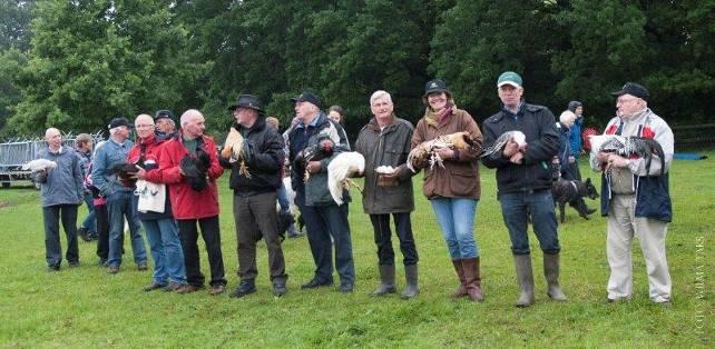 Above: Parade of the Breeds Group of fowls.