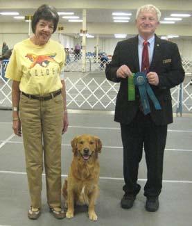 Evelyn Vinogradov and Doc finished his Grand Championship with 3 BOBs and 2 Herding Group 3s! Next week he finished his ASCA CD, and the week after that his AKC/NAFA Flyball Dog Championship.