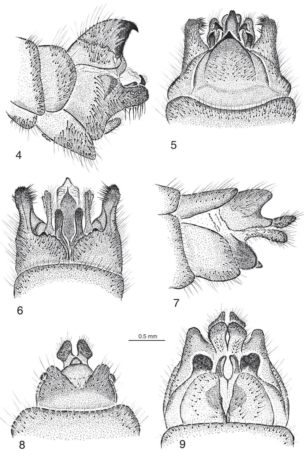 NEW SPECIES AND BIOLOGY OF TAIWANESE