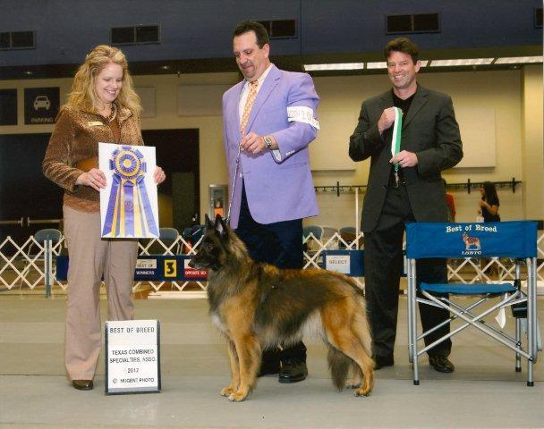 A Publication of the Lone Star Belgian Tervuren Club May-June 2012 Photo courtesy of Nugent Photo, used by
