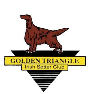 The Scarlett Letter The Golden Triangle Irish Setter Club, Inc April 2012 Wishing everyone a very Happy Easter!