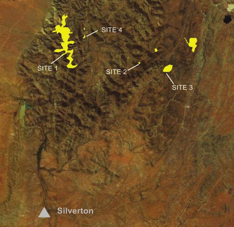 Figure 2. The extent of each patch (yellow polygon) of the newly described vegetation community within the study area. Table 1.