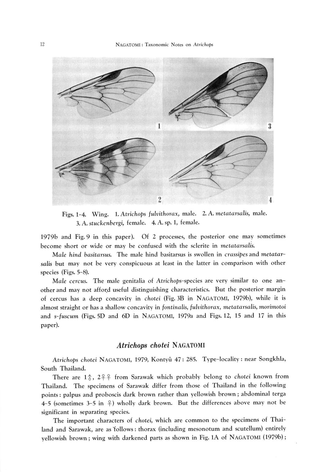 12 NAGATOMI: Taxonomic Notes on Atrichops ' ~~'i%. 2. 4 Figs. 1-4. Wing. 1. Atrichops fulvithorax, male. 2. A. metatarsalis, male. 3. A. stuckenbergi, female. 4. A. sp. 1, female. 1979b and Fig.
