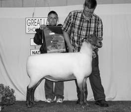 Mom s Tunis, VA had the 2013 Grand Champion Tunis Ewe and she sold to Avery Spilde, WI.