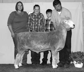 bloodlines); Dam was in show flock for two years and placed first yearling ewe at the National Show (Wool Hollow & Meek bloodlines).