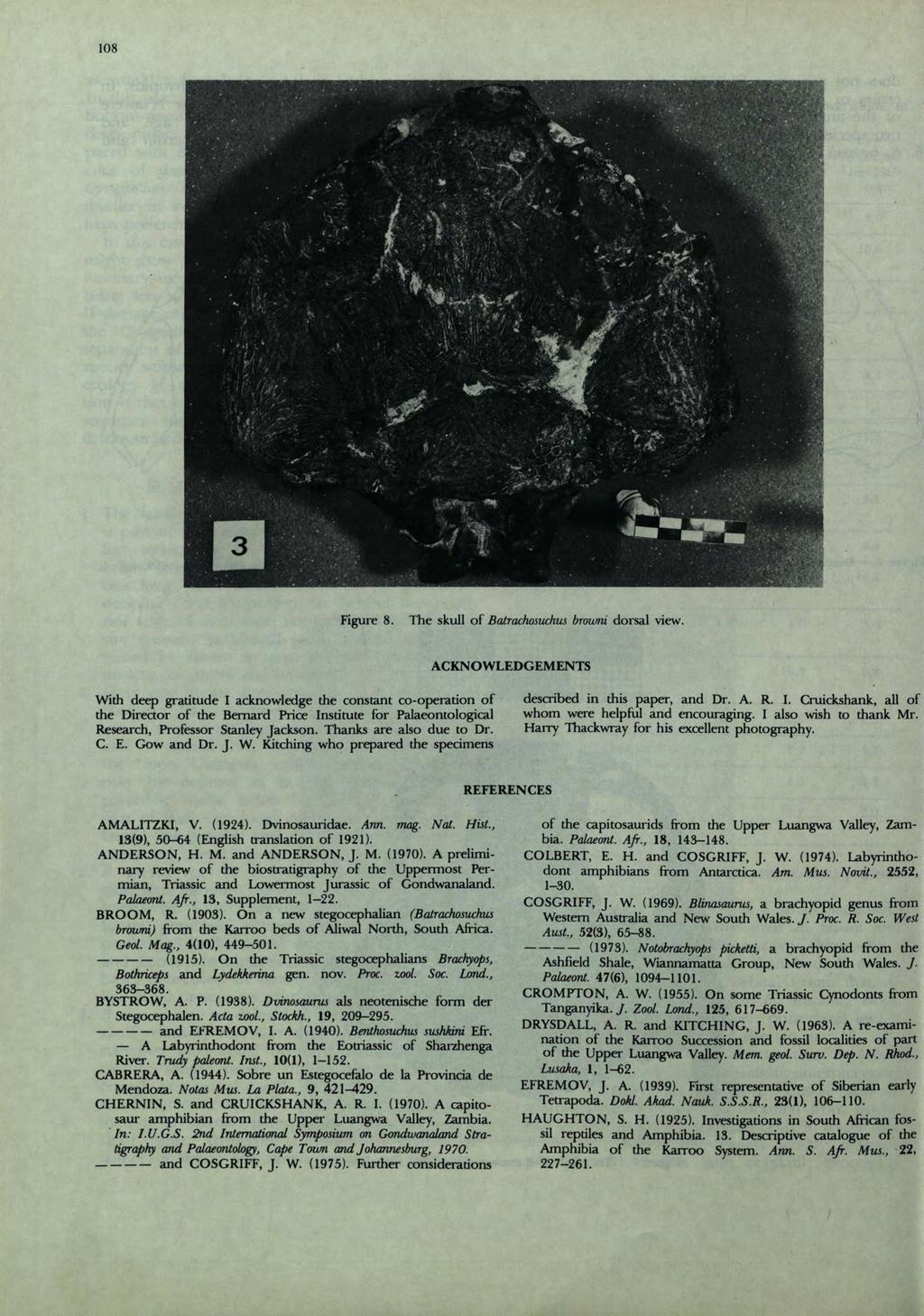 108 Figure 8. The skull of Batrachosuchus broumi dorsal view.