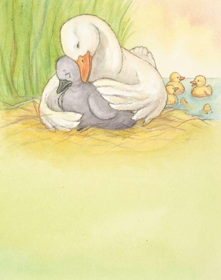Soon, the ugly duckling found a small pond. No one could say he was ugly.