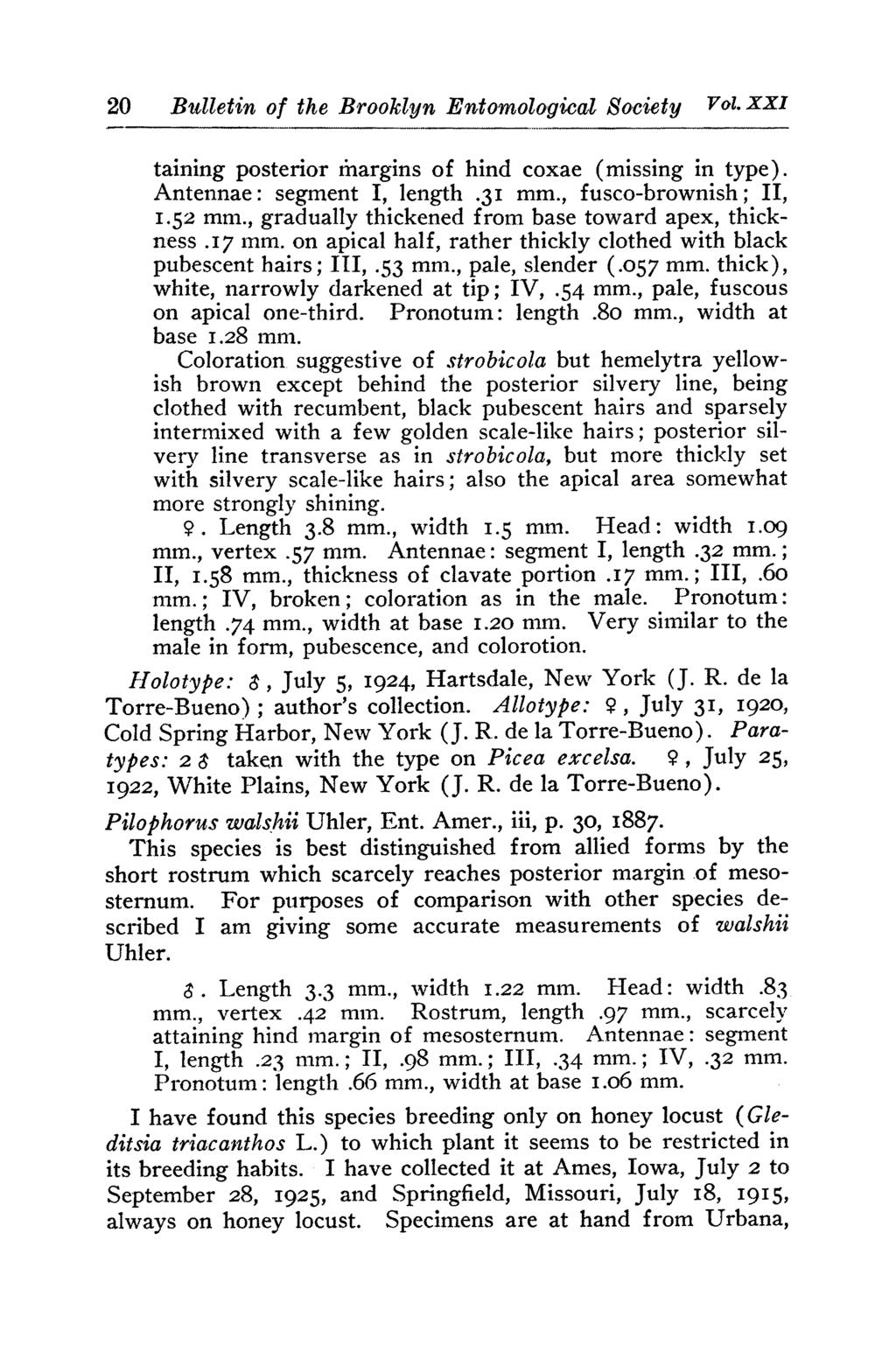 20 Bulletin of the Brooklyn Entomological Society Vol. XXI taining posterior ffiargins of hind coxae (missing in type). Antennae: segment I, length.3i mm., fusco-brownish; II, I.52 mm.