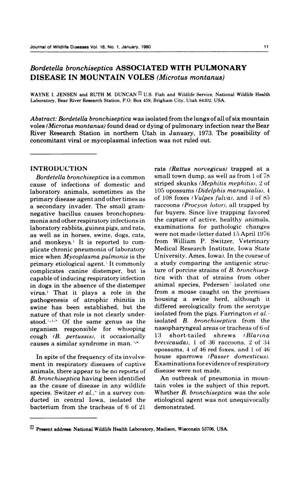 Journal of Wildlife Diseases Vol. 16, No. 1, January, 1980 11 Bordetella bronchiseptica ASSOCIATED WITH PULMONARY DISEASE IN MOUNTAIN VOLES (Microtus montanus) WAYNE I. JENSEN and RUTH M. DUNCAN U.S. Fish and Wildlife Service, National Wildlife Health Laboratory, Bear River Research Station, P.
