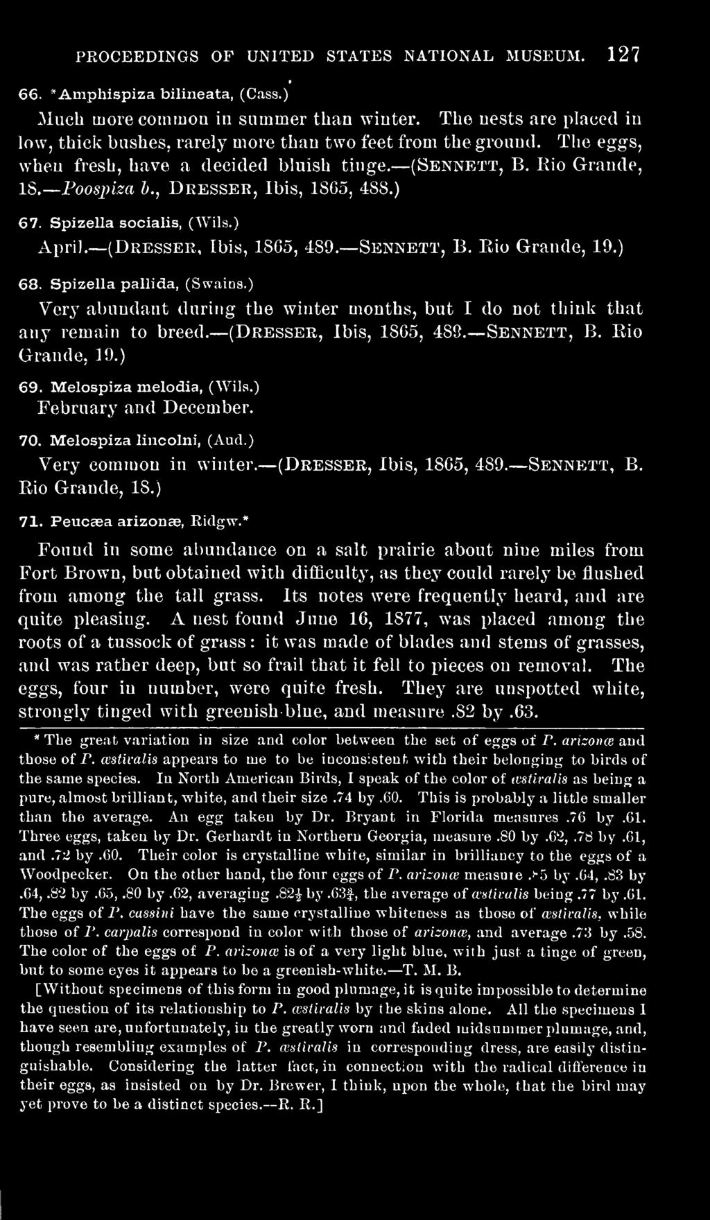 , Dresser, Ibis, 1865, 488.) 67. SpizeUa socialis, (Wils.) April. (Dresser, Ibis, 1865, 489. Sennett, B. Rio Grande, 19.) 68. SpizeUa pallida, (Swains.