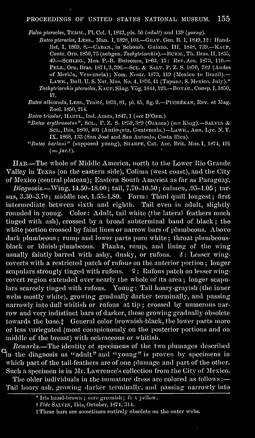 Butea tricolor, Hartl., Ind. Azara, 1847, 1 (nee D'Orb.) "Butea erythronotus", Scl., P. Z. S. 1859,389 (Oaxaca) (iicc Kiug). Salvin & Scl., Ibis, 1860, 401 (Antioqnia, Guatemala.) Lawr., Ann. Lye. N.