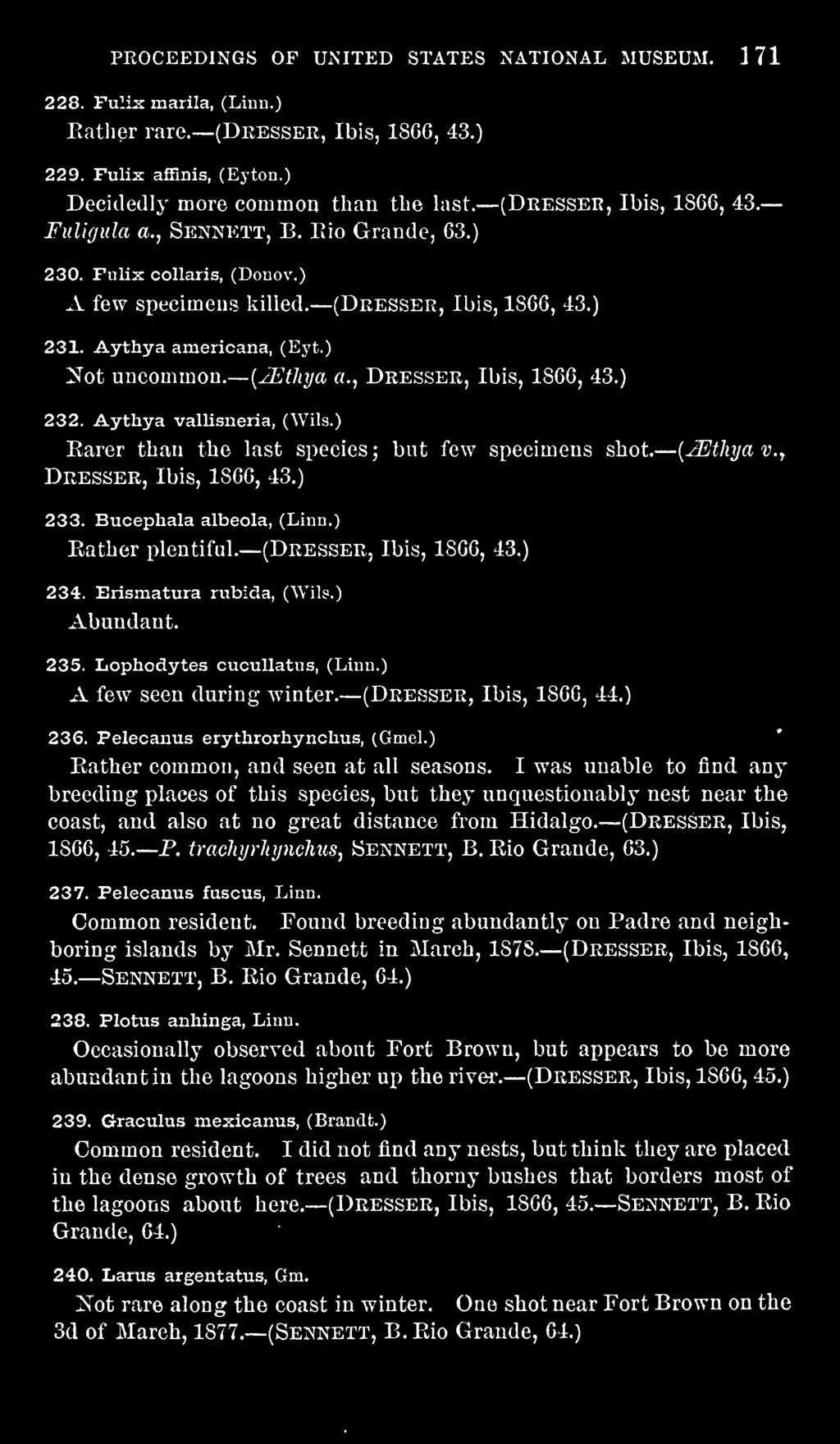 , Dresser, Ibis, 1866, 43.) 232. Aythya valusneria, (Wils.) Earer than the last species; but few specimens shot. Dresser, Ibis, 1866, 43.) 233. Bucephala albeola, (Linn.) {^thyav.y Eather plentiful.