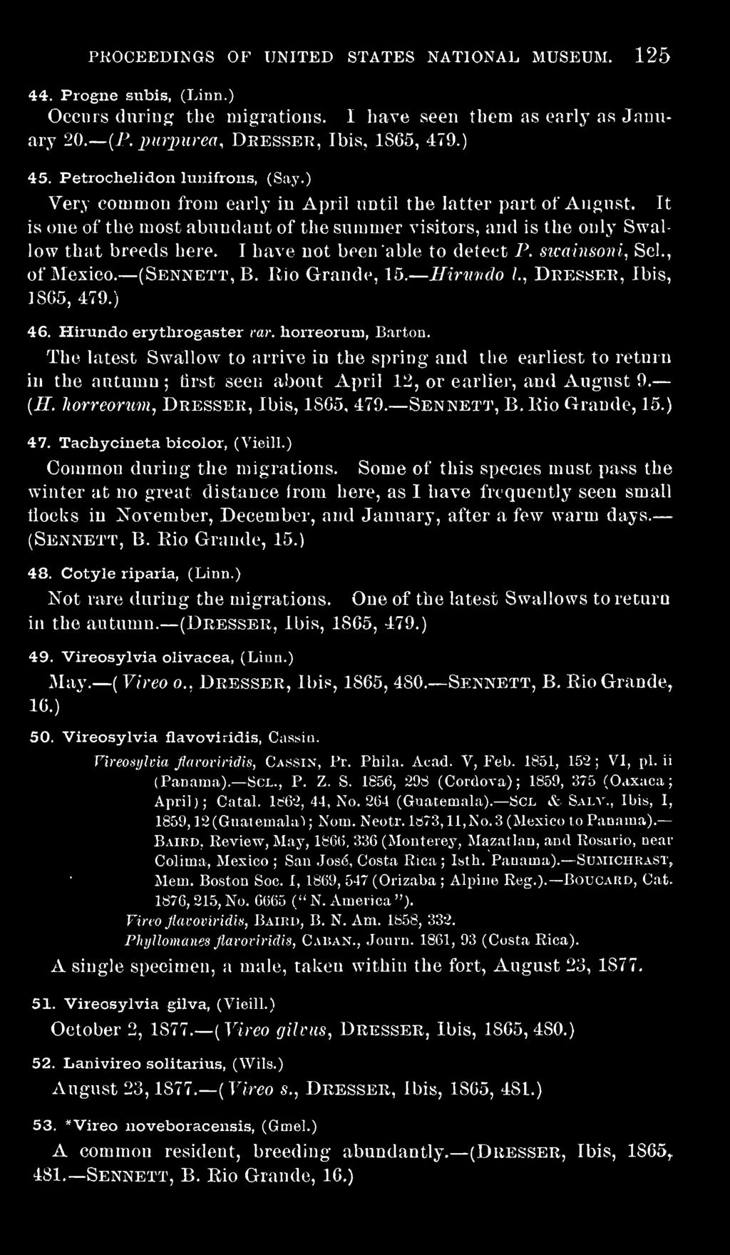 I have not been able to detect P. swainsoni, Scl., of Mexico. (Sennett,B. Rio Grande, 15. Hirwndo /., Dresser, Ibis, 1865, 479.) 46. Hirundo erytlirogaster var. horreorum, Barton.