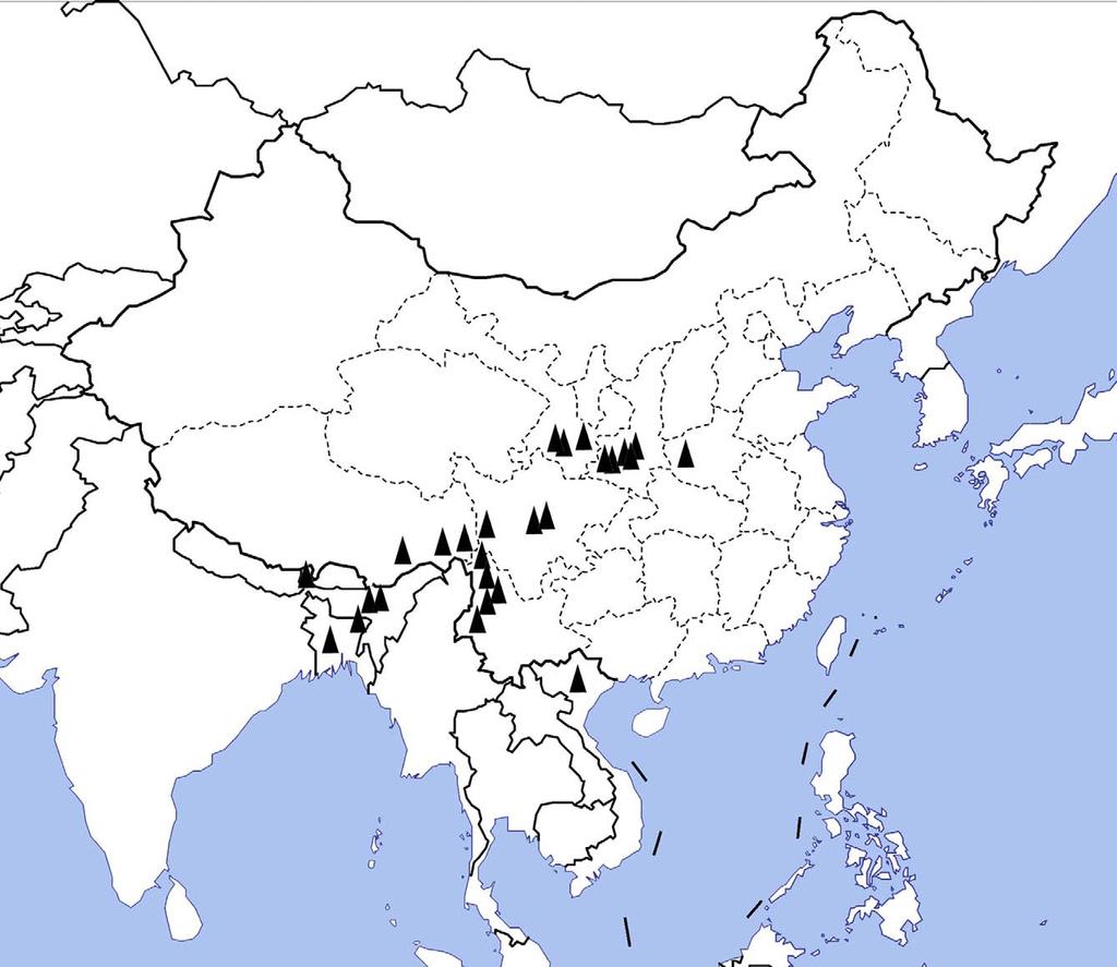 FIGURE 96. Distribution map of Loxocephala worldwide. The number of lateral spines on hind tibia.