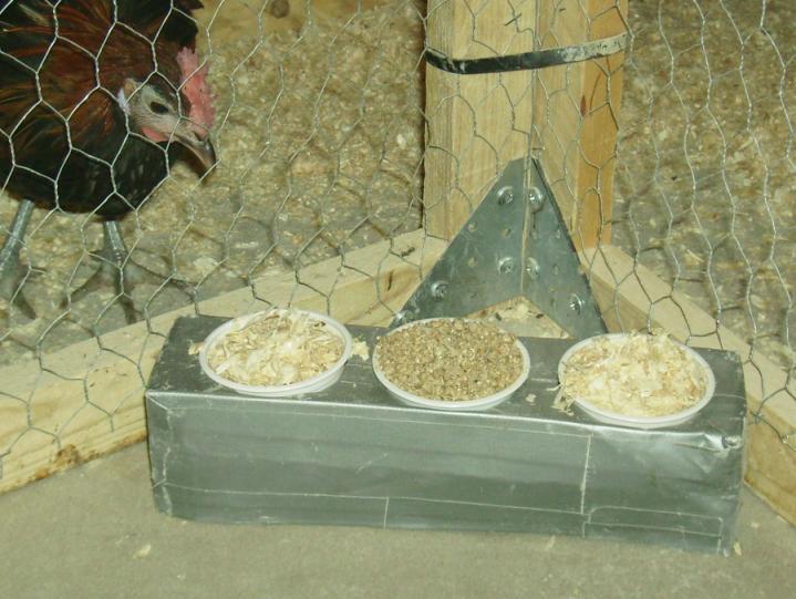 The floor of the outer square was dusted with wood shavings, while the inner square was brushed before the test period started and between every bird, in order to minimize pecks on the floor.