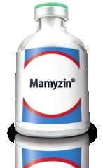 Treats a wide range of common respiratory and local infections associated with oxytetracyline sensitive organisms. MAMYZIN WHP Admin Others Actives: Penethamate hydriodide Dose rate: 2.