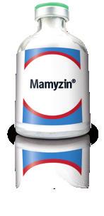 Treats a wide range of common respiratory and local infections associated with oxytetracycline sensitive organisms. Mastitis MAMYZIN 7 WHP Admin Others 2.