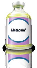 later, by METACAM 5mg/mL al Suspension for Horses. Pack size: 50mL, 00mL & 250mL.