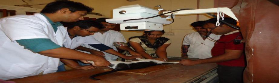 2. Facilities: 1 Sonography machine for large and small animals for gynecological problems