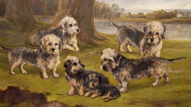 South Scotland 31 January 2015 Last updated at 03:14 Dandie Dinmont terrier's story revealed by Selkirk painting By Sandy Neil Reporter Robert Smellie's painting started the chain of discovery about