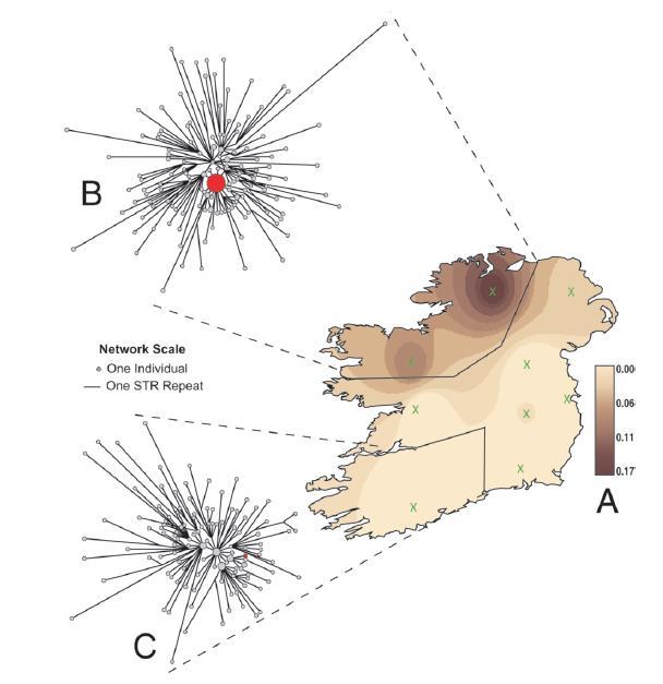 High frequency haplotypes in Ireland A Y-Chromosome Signature of Hegemony in