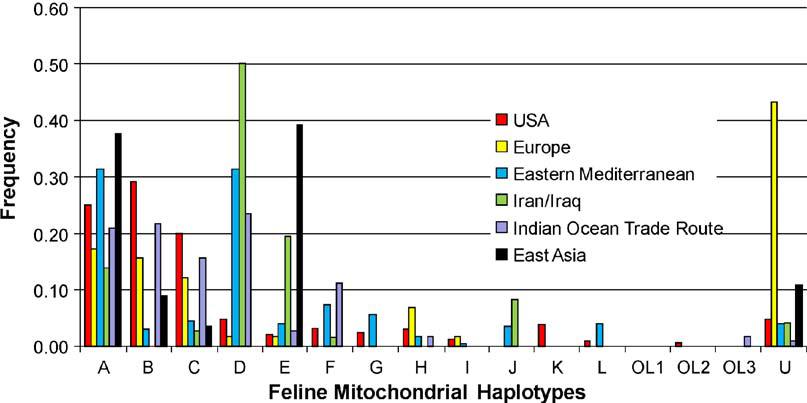 Comparing national mitochondrial DNA databases US lab profiled mtdna HV 493 US cats found plus Europe, Middle East, Asia 25