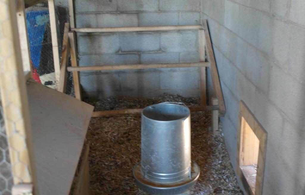 Figure 3. Inside a small chicken coop showing the roosts. The top roost is too close to the wall to be used by the hens. Photo by Jacquie Jacob by a safety chain and not the cord.
