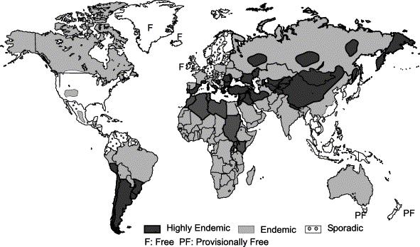 Chapter 1: Echinococcosis- an international public health challenge 5 Figure 1.1. Approximate geographical distribution of the zoonotic strains of E. granulosus. Adapted from Eckert et al.