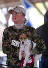 Den Talk President's Corner Southwest Jack Russell Terrier Network An affiliate of the Jack Russell Terrier Club of America Februar y 2 013 I am very excited to be writing to you!