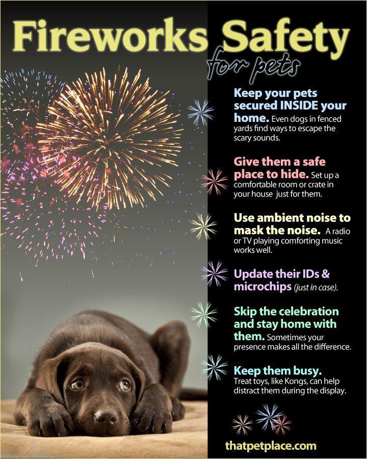 Listed below are some firework safety tips and remember that more pets get lost on July 4 th than any other holiday. Summer comes with many holiday celebrations and cookouts.