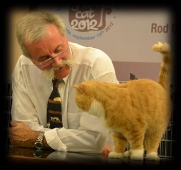 Nick Pun () Nicholas Pun is an Approval Pending Allbreed Judge in The Cat Fanciers' Association.