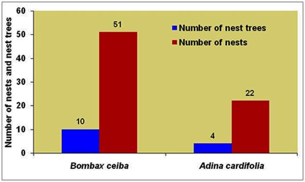 30 Table 3: Population of lesser adjutant storks during the post-breeding season (October) Site Tree # #.