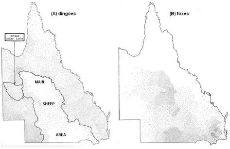 104 Biodiversity Enrichment in a Diverse World from dingoes through kleptoparasitism in [173].