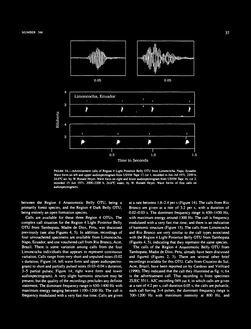 NUBER 546 37.5.5 Limoncocha, Ecuador t f i i t 2 P P P T.5. Time in Seconds.5 IGURE 4. Advertisement calls of Region 4 Light Posterior Belly OTU from Limoncocha, Napo. Ecuador. Wave form on left and upper audiospectrogram from USN Tape 7.