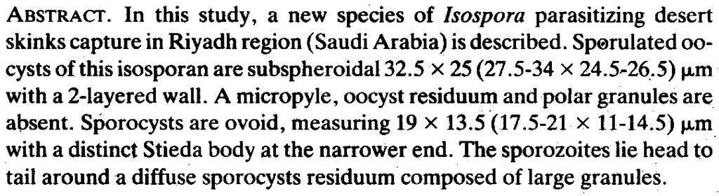 J.K.A.U.: Sci., vol. 5, pp. 65-70 (1413A,H./1993 A.D. Isospora arabica n. sp. (Apicomplexa: Eimeriidae) from the Ocellated Skink, Chalcides ocellatus (Lacertilia: Scincidae).from Saudi Arabia MIKKY A.